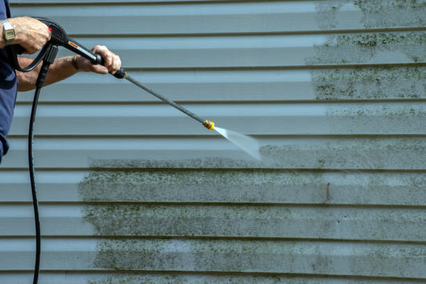 Best Soft Washing for Delicate Surfaces in Stickney, IL
