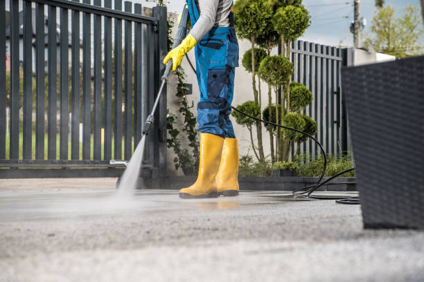Best Driveway Cleaning and Restoration in Stickney, IL